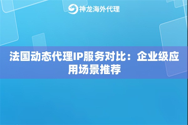 法国动态代理IP服务对比：企业级应用场景推荐
