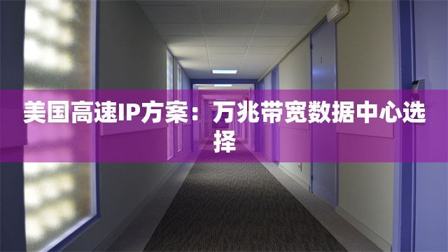 美国高速IP方案：万兆带宽数据中心选择