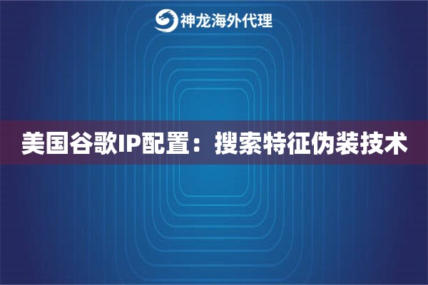 美国谷歌IP配置：搜索特征伪装技术