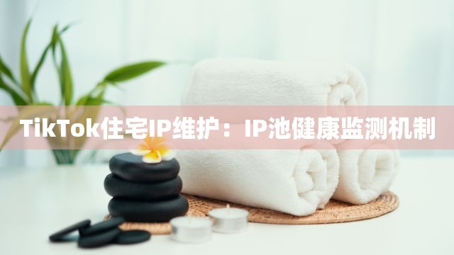 TikTok住宅IP维护：IP池健康监测机制