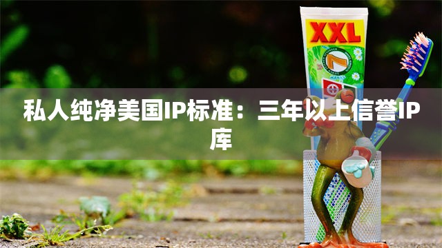 私人纯净美国IP标准：三年以上信誉IP库
