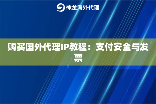 购买国外代理IP教程：支付安全与发票
