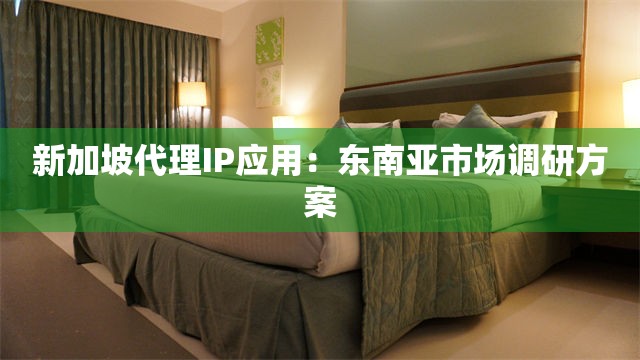 新加坡代理IP应用：东南亚市场调研方案