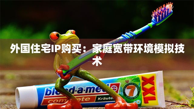 外国住宅IP购买：家庭宽带环境模拟技术