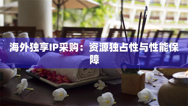 海外独享IP采购：资源独占性与性能保障