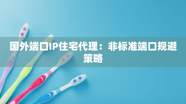 国外端口IP住宅代理：非标准端口规避策略