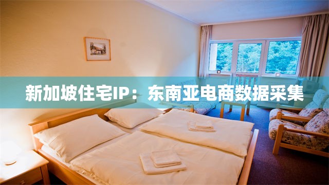 新加坡住宅IP：东南亚电商数据采集