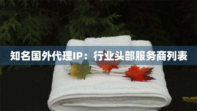 知名国外代理IP：行业头部服务商列表