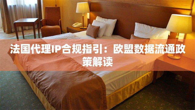 法国代理IP合规指引：欧盟数据流通政策解读