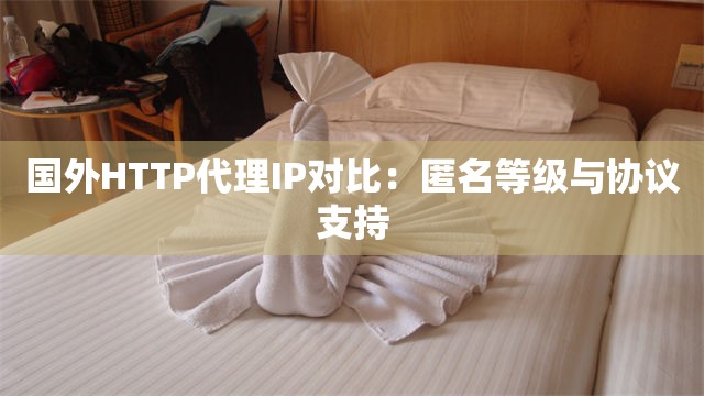 国外HTTP代理IP对比：匿名等级与协议支持