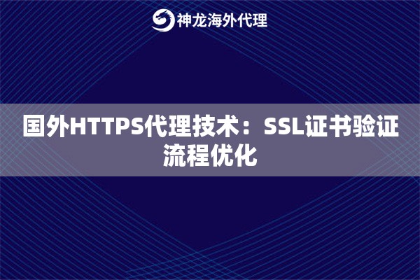 国外HTTPS代理技术：SSL证书验证流程优化