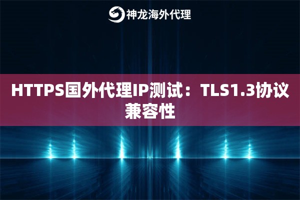HTTPS国外代理IP测试：TLS1.3协议兼容性