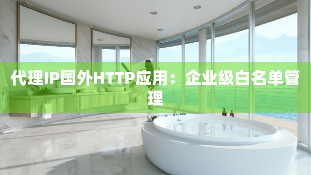 代理IP国外HTTP应用：企业级白名单管理