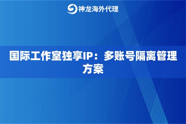 国际工作室独享IP：多账号隔离管理方案