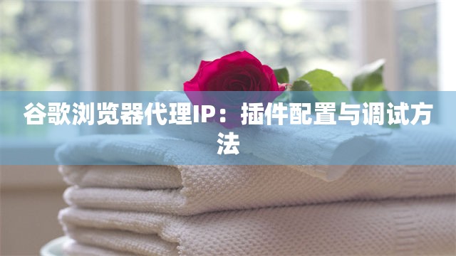 谷歌浏览器代理IP：插件配置与调试方法