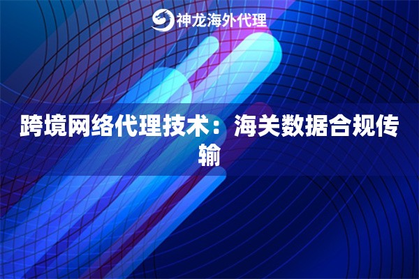 跨境网络代理技术：海关数据合规传输