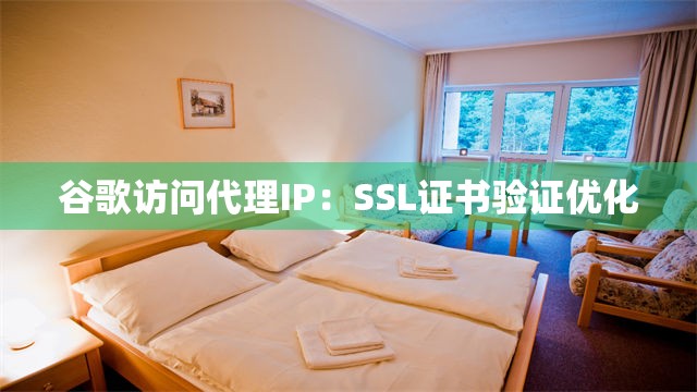 谷歌访问代理IP：SSL证书验证优化