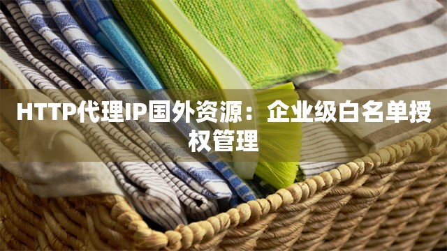 HTTP代理IP国外资源：企业级白名单授权管理