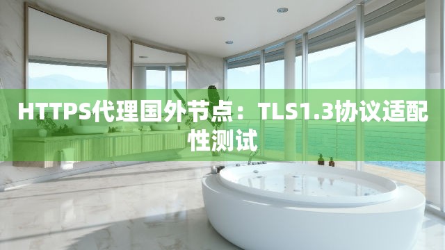 HTTPS代理国外节点：TLS1.3协议适配性测试