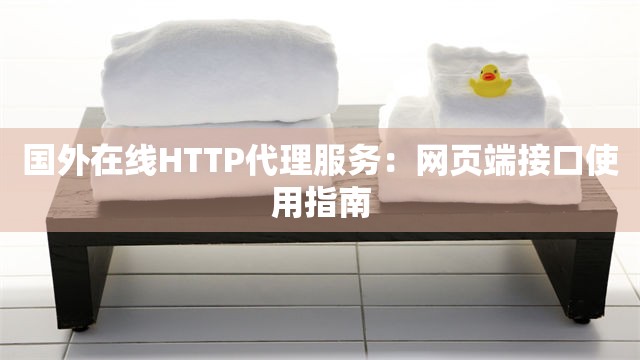 国外在线HTTP代理服务：网页端接口使用指南