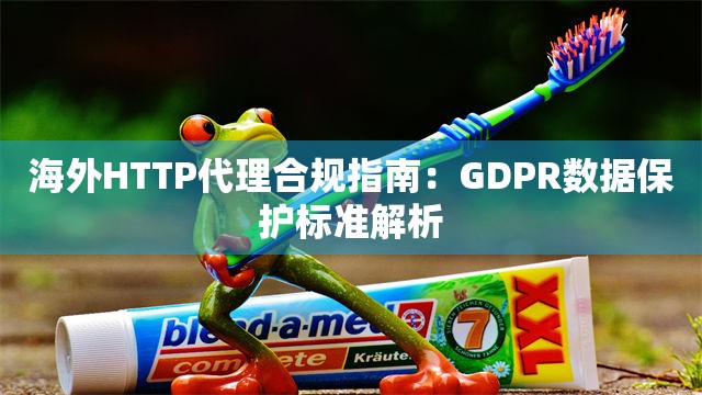 海外HTTP代理合规指南：GDPR数据保护标准解析