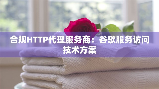 合规HTTP代理服务商：谷歌服务访问技术方案