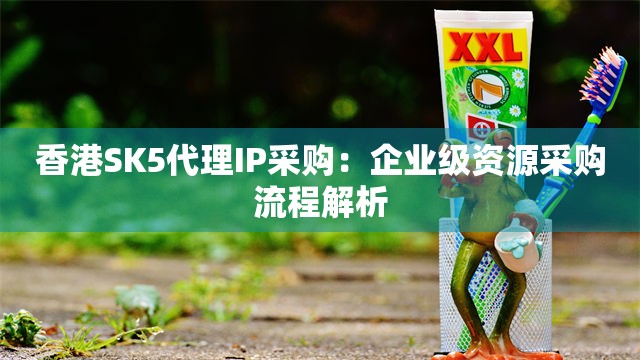 香港SK5代理IP采购：企业级资源采购流程解析