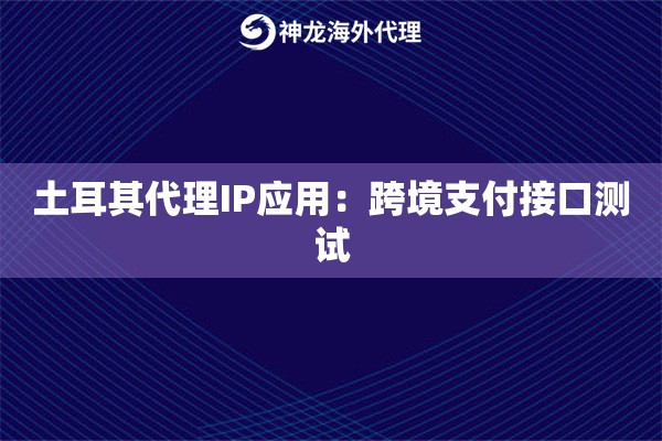 土耳其代理IP应用：跨境支付接口测试