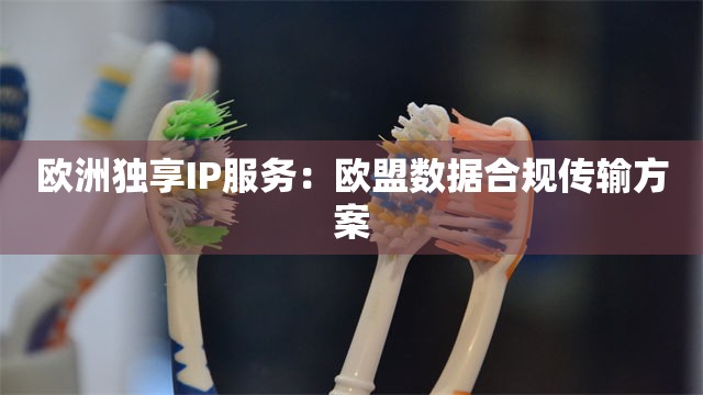 欧洲独享IP服务：欧盟数据合规传输方案