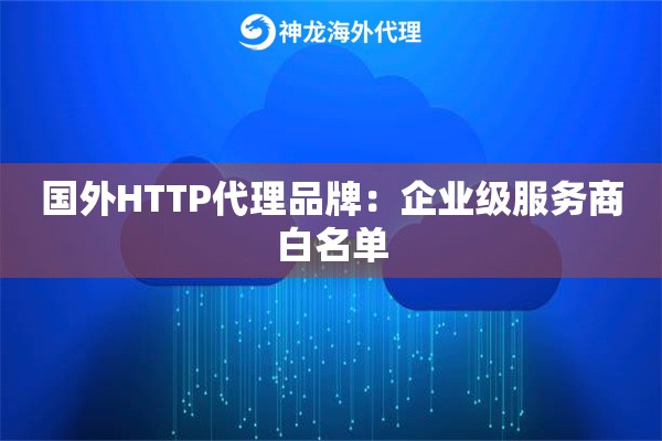 国外HTTP代理品牌：企业级服务商白名单