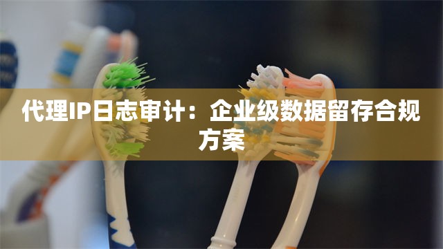 代理IP日志审计：企业级数据留存合规方案