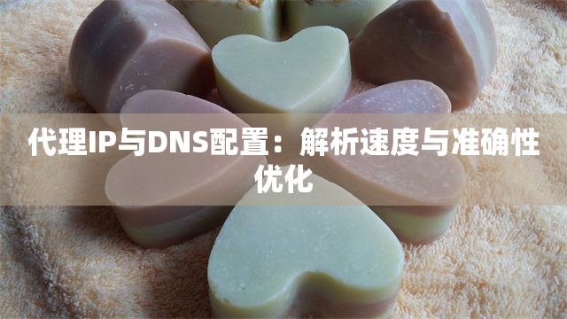 代理IP与DNS配置：解析速度与准确性优化