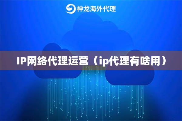 IP网络代理运营（ip代理有啥用）