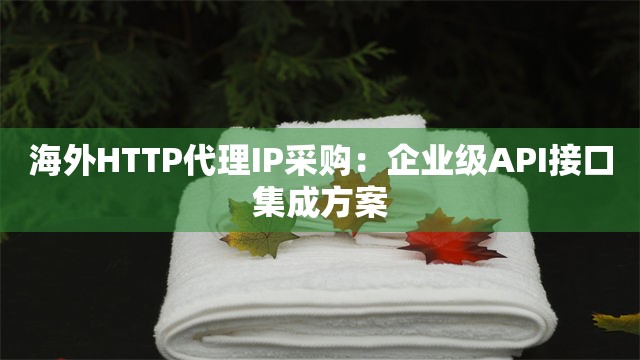 海外HTTP代理IP采购：企业级API接口集成方案