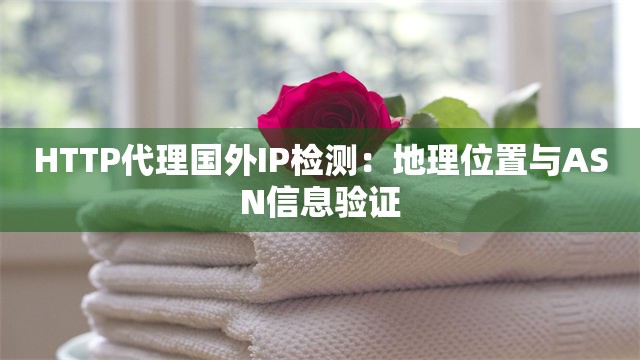 HTTP代理国外IP检测：地理位置与ASN信息验证