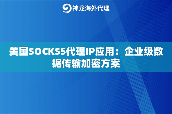 美国SOCKS5代理IP应用：企业级数据传输加密方案