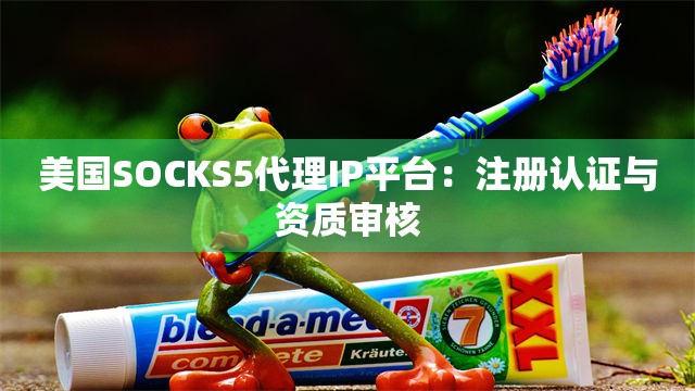 美国SOCKS5代理IP平台：注册认证与资质审核