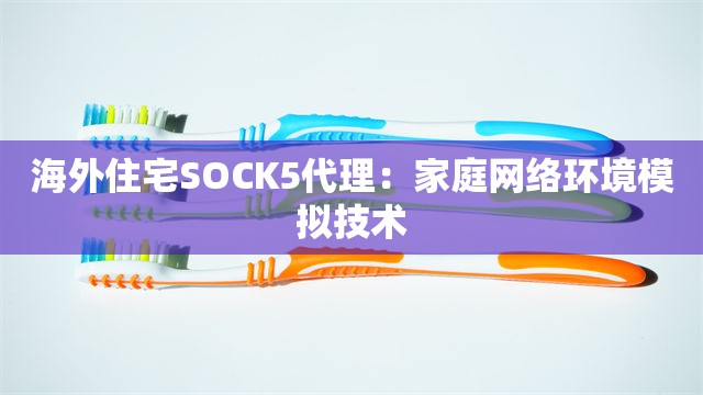 海外住宅SOCK5代理：家庭网络环境模拟技术