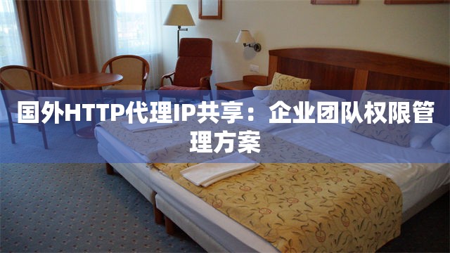 国外HTTP代理IP共享：企业团队权限管理方案
