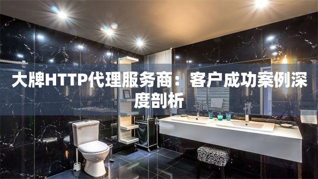 大牌HTTP代理服务商：客户成功案例深度剖析
