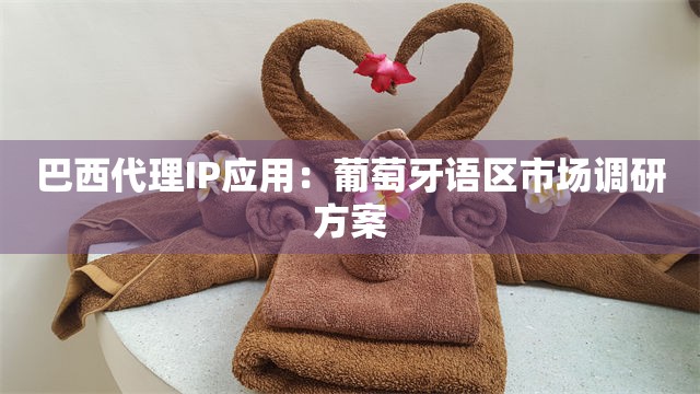 巴西代理IP应用：葡萄牙语区市场调研方案