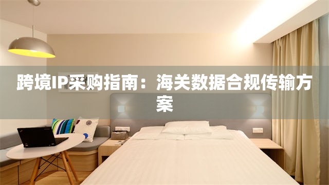 跨境IP采购指南：海关数据合规传输方案