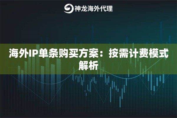 海外IP单条购买方案：按需计费模式解析