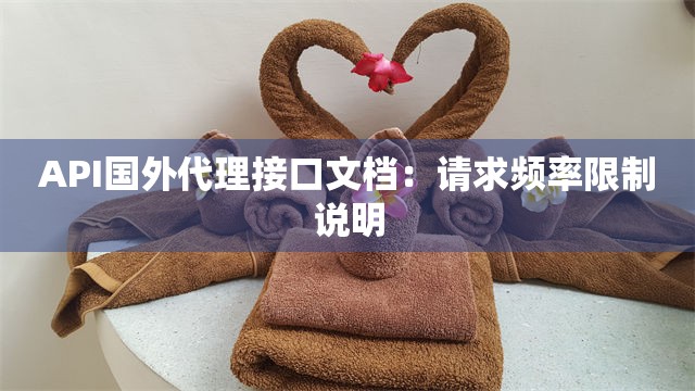 API国外代理接口文档：请求频率限制说明