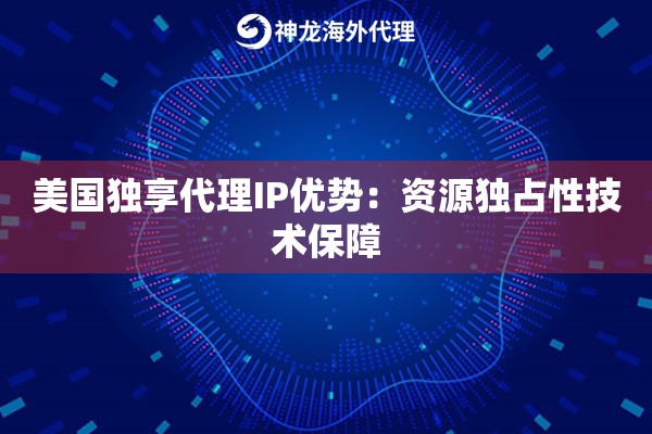 美国独享代理IP优势：资源独占性技术保障