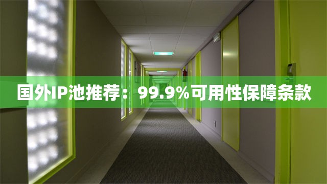 国外IP池推荐：99.9%可用性保障条款