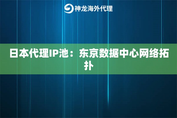 日本代理IP池：东京数据中心网络拓扑