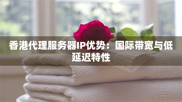 香港代理服务器IP优势：国际带宽与低延迟特性