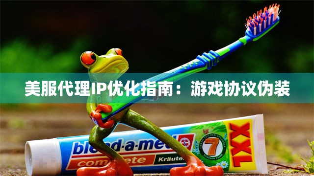 美服代理IP优化指南：游戏协议伪装