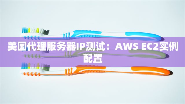 美国代理服务器IP测试：AWS EC2实例配置
